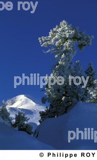 Les Pyrnes (64F01334.jpg)