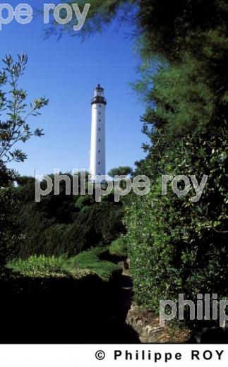 Phare (64F01523.jpg)