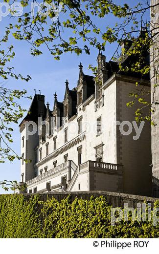 VILLE DE PAU, BEARN, FRANCE (64F03130.jpg)