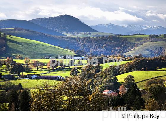 VILLAGE  DE IRISSARRY, BASSE NAVARRE, PAYS BASQUE, PYRENEES ATLANTIQUE. (64F03635.jpg)