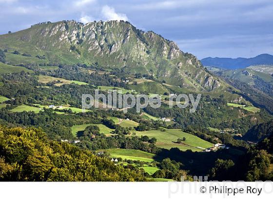 AGRICULTURE DE MONTAGNE, COMMUNE DE SAINTE ENGRACE,  SOULE, PAYS BASQUE,  PYRENEES- ATLANTIQUE. (64F03934.jpg)