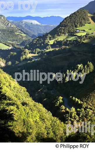 AGRICULTURE DE MONTAGNE, COMMUNE DE SAINTE ENGRACE,  SOULE, PAYS BASQUE,  PYRENEES- ATLANTIQUE. (64F03936.jpg)