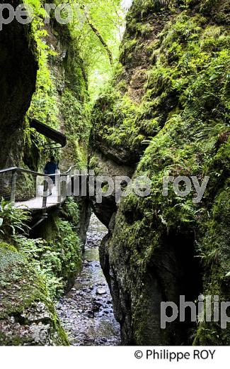 GORGES DE KAKUETTA, COMMUNE  DE SAINTE ENGRACE,   SOULE, PAYS BASQUE,  PYRENEES- ATLANTIQUE. (64F04003.jpg)