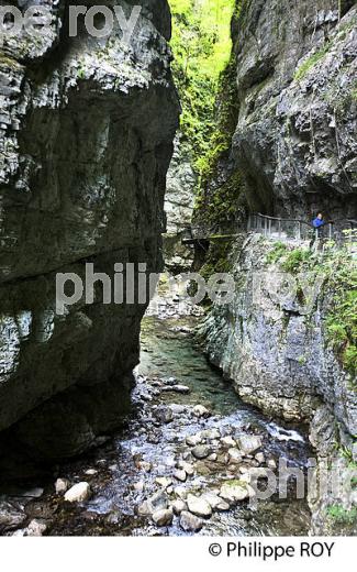 GORGES DE KAKUETTA, COMMUNE  DE SAINTE ENGRACE,   SOULE, PAYS BASQUE,  PYRENEES- ATLANTIQUE. (64F04006.jpg)