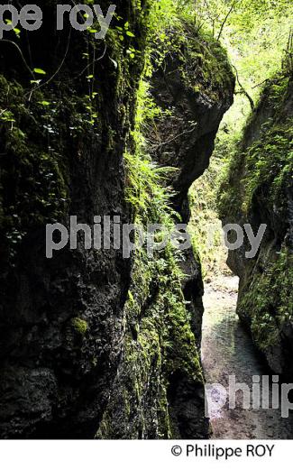 GORGES DE KAKUETTA, COMMUNE  DE SAINTE ENGRACE,   SOULE, PAYS BASQUE,  PYRENEES- ATLANTIQUE. (64F04008.jpg)