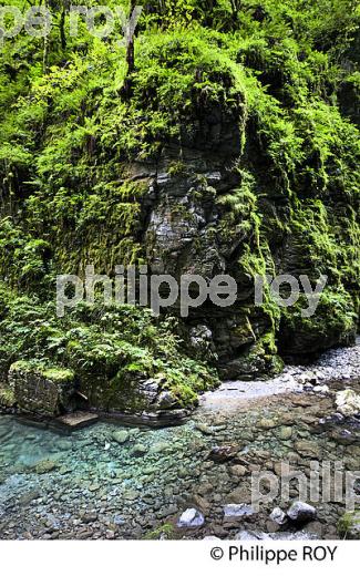 GORGES DE KAKUETTA, COMMUNE  DE SAINTE ENGRACE,   SOULE, PAYS BASQUE,  PYRENEES- ATLANTIQUE. (64F04009.jpg)