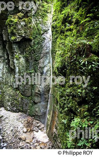 GORGES DE KAKUETTA, COMMUNE  DE SAINTE ENGRACE,   SOULE, PAYS BASQUE,  PYRENEES- ATLANTIQUE. (64F04010.jpg)