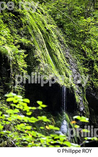 GORGES DE KAKUETTA, COMMUNE  DE SAINTE ENGRACE,   SOULE, PAYS BASQUE,  PYRENEES- ATLANTIQUE. (64F04012.jpg)