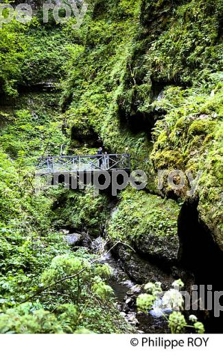 GORGES DE KAKUETTA, COMMUNE  DE SAINTE ENGRACE,   SOULE, PAYS BASQUE,  PYRENEES- ATLANTIQUE. (64F04013.jpg)