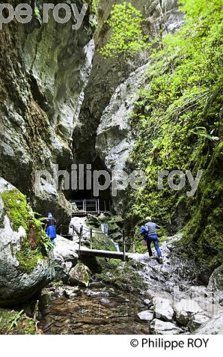 GORGES DE KAKUETTA, COMMUNE  DE SAINTE ENGRACE,   SOULE, PAYS BASQUE,  PYRENEES- ATLANTIQUE. (64F04038.jpg)