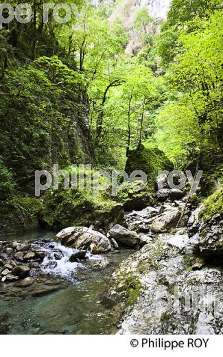 GORGES DE KAKUETTA, COMMUNE  DE SAINTE ENGRACE,   SOULE, PAYS BASQUE,  PYRENEES- ATLANTIQUE. (64F04039.jpg)