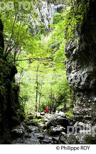 GORGES DE KAKUETTA, COMMUNE  DE SAINTE ENGRACE,   SOULE, PAYS BASQUE,  PYRENEES- ATLANTIQUE. (64F04040.jpg)