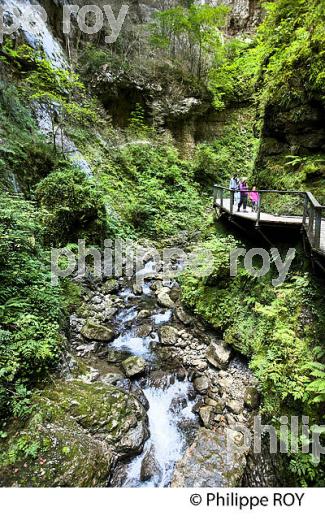 GORGES DE KAKUETTA, COMMUNE  DE SAINTE ENGRACE,   SOULE, PAYS BASQUE,  PYRENEES- ATLANTIQUE. (64F04104.jpg)