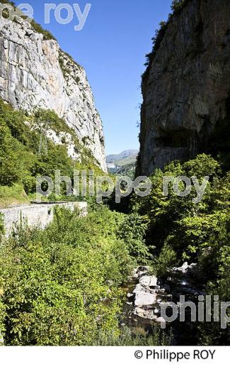 GORGES DU PORTALET, VALLEE D' ASPE, COMMUNE D' ETSAUT,  BEARN, PYRENEES ATLANTIQUES. (64F04527.jpg)