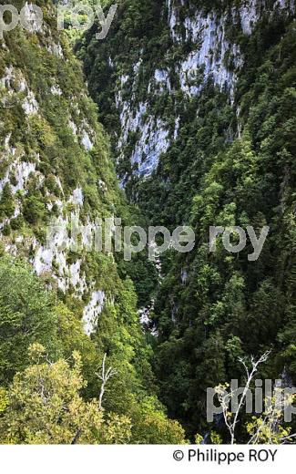 LES GORGES DE L' ENFER, COMMUNE D' ETSAUT,  BEARN, PYRENEES ATLANTIQUES. (64F04531.jpg)