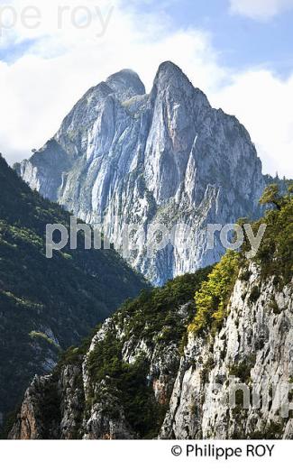 LE CHEMIN DE LA MATURE, VALLEE D' ASPE, COMMUNE D' ETSAUT,  BEARN, PYRENEES ATLANTIQUES. (64F04532.jpg)