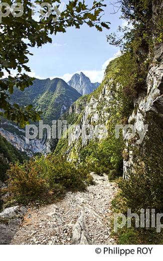 LE CHEMIN DE LA MATURE, VALLEE D' ASPE, COMMUNE D' ETSAUT,  BEARN, PYRENEES ATLANTIQUES. (64F04535.jpg)