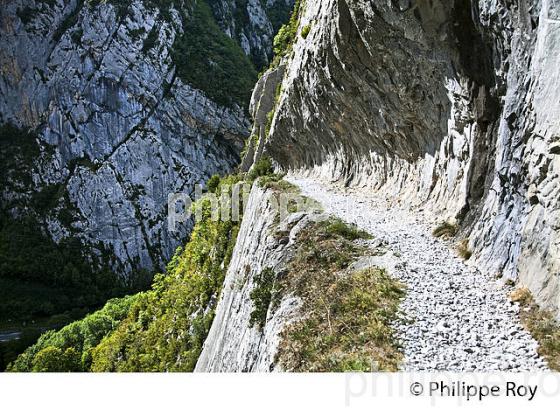 LE CHEMIN DE LA MATURE, VALLEE D' ASPE, COMMUNE D' ETSAUT,  BEARN, PYRENEES ATLANTIQUES. (64F04603.jpg)