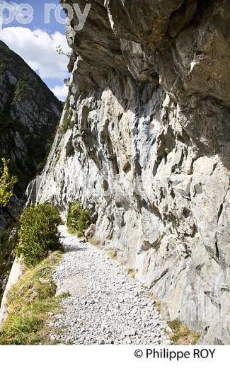LE CHEMIN DE LA MATURE, VALLEE D' ASPE, COMMUNE D' ETSAUT,  BEARN, PYRENEES ATLANTIQUES. (64F04607.jpg)