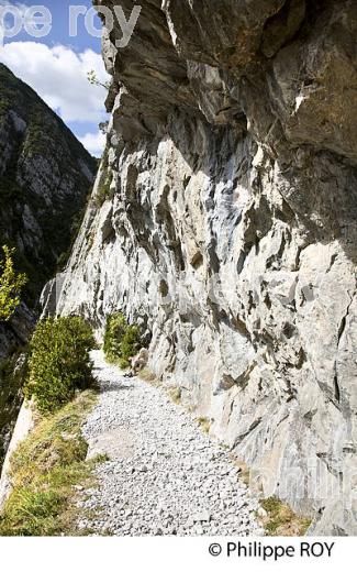 LE CHEMIN DE LA MATURE, VALLEE D' ASPE, COMMUNE D' ETSAUT,  BEARN, PYRENEES ATLANTIQUES. (64F04607.jpg)