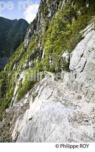 LE CHEMIN DE LA MATURE, VALLEE D' ASPE, COMMUNE D' ETSAUT,  BEARN, PYRENEES ATLANTIQUES. (64F04610.jpg)