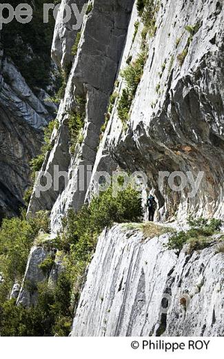 LE CHEMIN DE LA MATURE, VALLEE D' ASPE, COMMUNE D' ETSAUT,  BEARN, PYRENEES ATLANTIQUES. (64F04612.jpg)