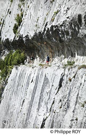 LE CHEMIN DE LA MATURE, VALLEE D' ASPE, COMMUNE D' ETSAUT,  BEARN, PYRENEES ATLANTIQUES. (64F04613.jpg)