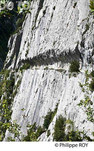 LE CHEMIN DE LA MATURE, VALLEE D' ASPE, COMMUNE D' ETSAUT,  BEARN, PYRENEES ATLANTIQUES. (64F04614.jpg)