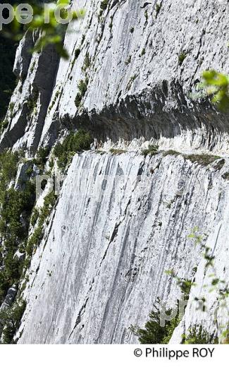 LE CHEMIN DE LA MATURE, VALLEE D' ASPE, COMMUNE D' ETSAUT,  BEARN, PYRENEES ATLANTIQUES. (64F04616.jpg)