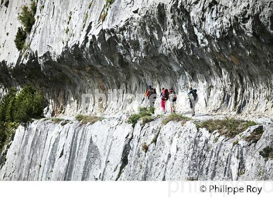 LE CHEMIN DE LA MATURE, VALLEE D' ASPE, COMMUNE D' ETSAUT,  BEARN, PYRENEES ATLANTIQUES. (64F04622.jpg)