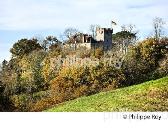 CHATEAU FORT , VILLAGE   DE MORLANNE, LUY DE BEARN,   BEARN, PYRENEES- ATLANTIQUES. (64F04940.jpg)