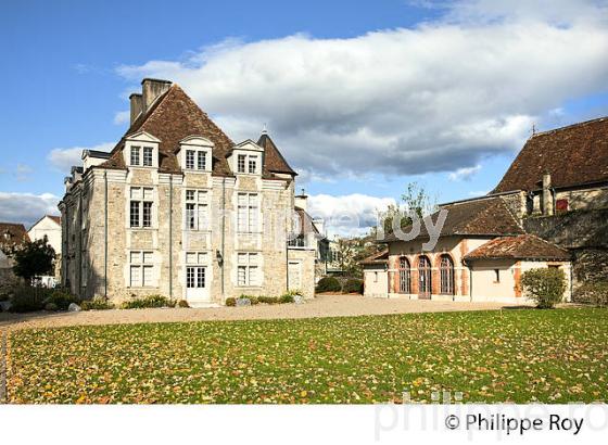 LE  CHATEAU , VILLAGE DE SAUVETERRE DE BEARN , VALLEE DU GAVE D' OLORON, BEARN, PYRENEES ATLANTIQUES. (64F05304.jpg)