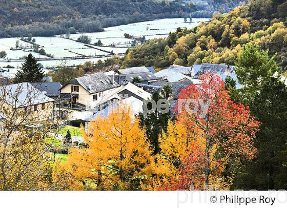 LE VILLAGE DE BILHERES EN OSSAU, VALLEE D' OSSAU, BEARN, PYRENEES ATLANTIQUES. (64F05406.jpg)