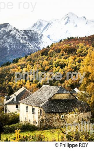 LE VILLAGE DE BILHERES EN OSSAU, VALLEE D' OSSAU, BEARN, PYRENEES ATLANTIQUES. (64F05422.jpg)