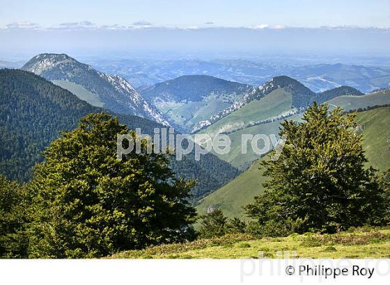 PLATEAU DE GUILLERS, VALLEE DU BARETOUS, ARETTE LA PIERRE SAINT MARTIN, BEARN. (64F05517.jpg)