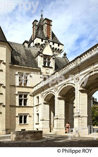 LE CHATEAU  DE PAU, VILLE DE  PAU, BEARN, PYRENEES ATLANTIQUES. (64F05722.jpg)