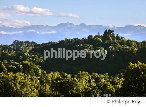 LES PYRENEES VUES DEPUIS LE BOULEVARD DES PYRENEES,  PAU, BEARN. (64F05837.jpg)