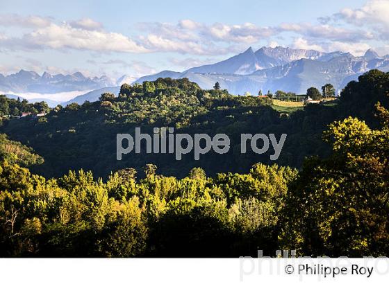 LES PYRENEES VUES DEPUIS LE BOULEVARD DES PYRENEES,  PAU, BEARN. (64F05840.jpg)