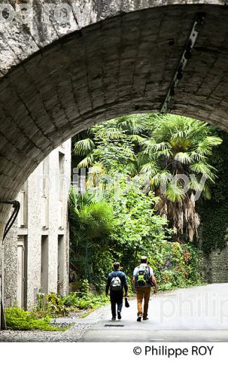 LA RUE DU HEDAS,  QUARTIER DU  HEDAS, PAU, BEARN, PYRENEES-ATLANTIQUES. (64F06112.jpg)