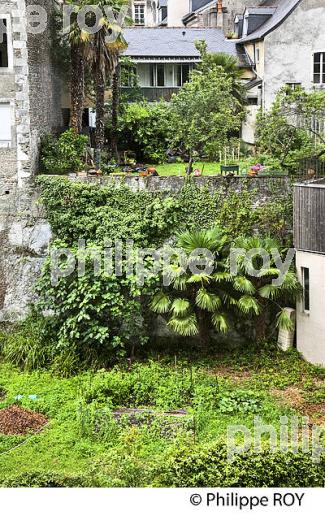 IMMEUBLE, VILLE HAUTE ET   QUARTIER DU  HEDAS, PAU, BEARN, PYRENEES-ATLANTIQUES. (64F06116.jpg)