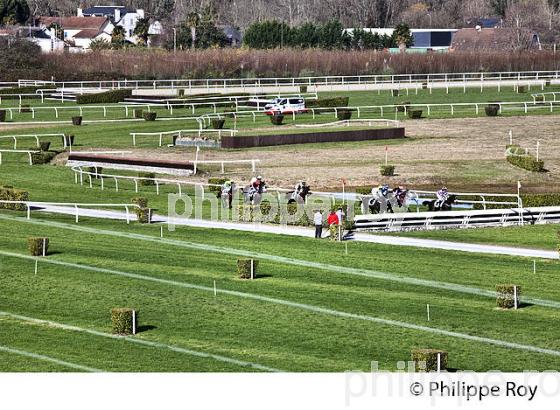 COURSE HIPPIQUE, HIPPODROME DE PAU. (64F06632.jpg)