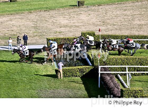 COURSE HIPPIQUE, HIPPODROME DE PAU. (64F06636.jpg)