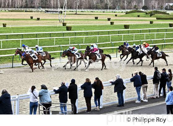 COURSE HIPPIQUE, HIPPODROME DE PAU. (64F06639.jpg)