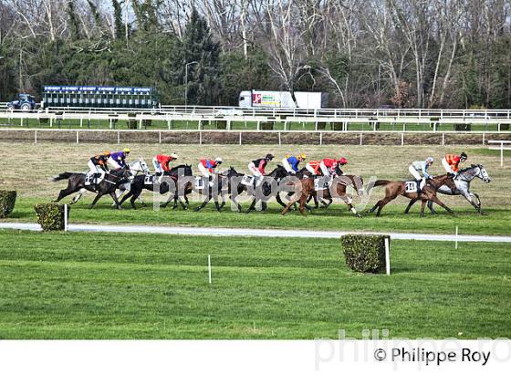 COURSE HIPPIQUE, HIPPODROME DE PAU. (64F06702.jpg)