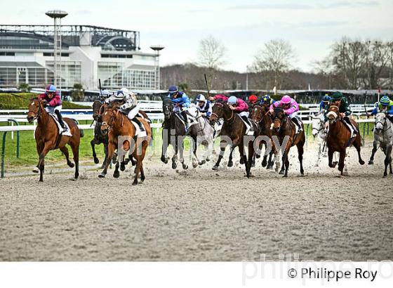 COURSE HIPPIQUE, HIPPODROME DE PAU. (64F06709.jpg)