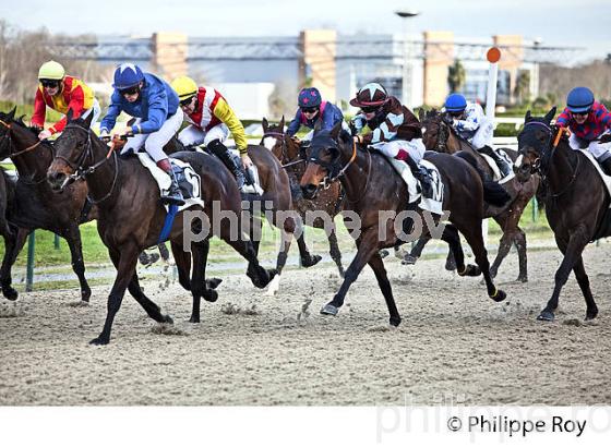 COURSE HIPPIQUE, HIPPODROME DE PAU. (64F06710.jpg)