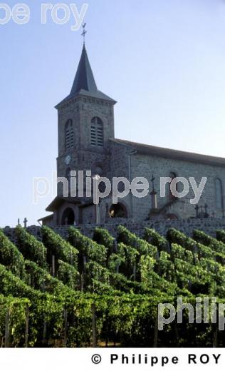 Le vignoble du pays basque (64V00307.jpg)