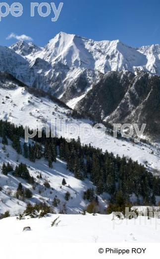 Les Pyrnes (65F01122.jpg)