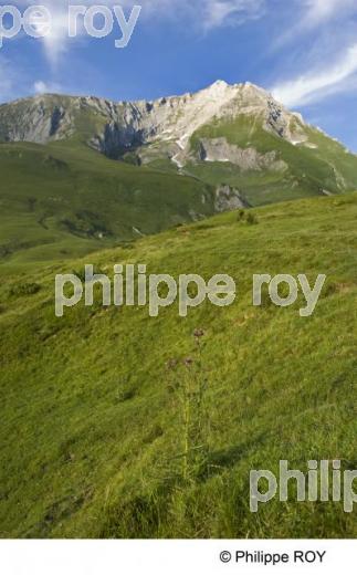 Les Pyrnes (65F01238.jpg)