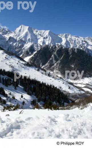 Azet - Hautes Pyrnes (65F01421.jpg)